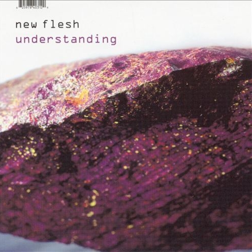 New Flesh - Understanding